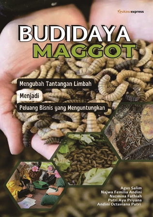 BUDIDAYA - web